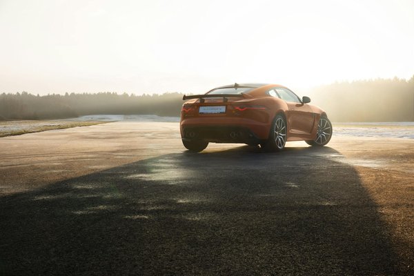 Wie kÃ¶nnen wir eine gesunde Balance zwischen Technologie und Natur finden?